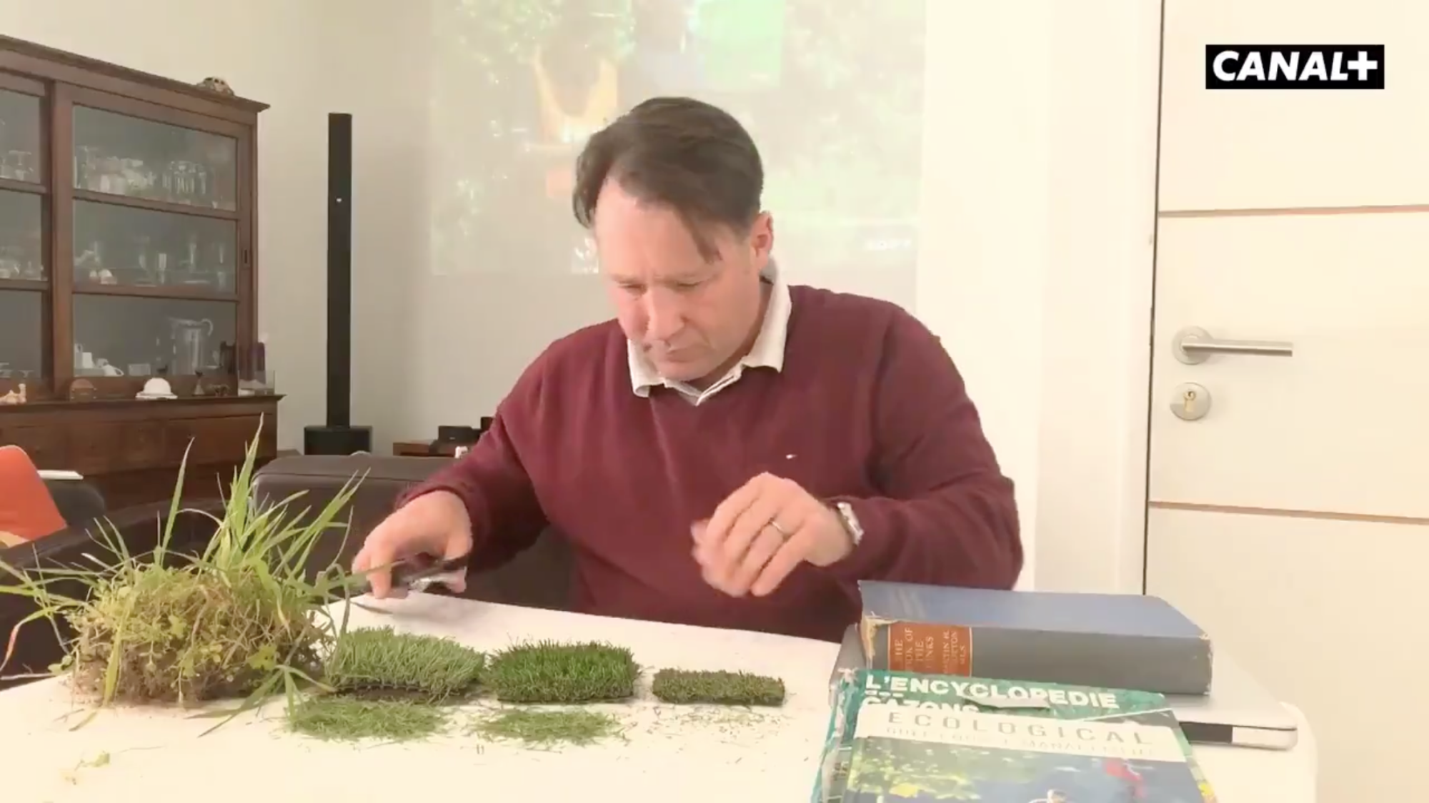 Dans quel état allons nous retrouver nos parcours après tout cela ? A ...