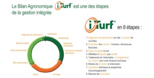 iTurf_ICL_Fertilizers