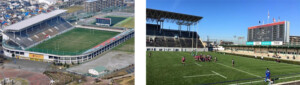 stade-Hanazono-Rugby-Stadium-coupe-du-monde-rugby-2019-gazon-pelouse