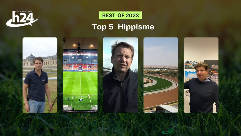 Top 5 hippisme