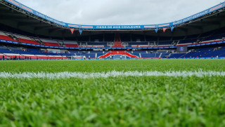 Pelouse Parc des Princes PSG