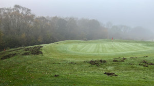 Golf de Sarreguemines sangliers