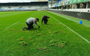 Antoine Croum et Ronan Traon mettent la main à la patte pour lutter contre le pâturin annuel.