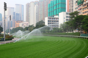 Le Sports Turf Research Institute a publié un guide des bonnes pratiques de gestion de l’eau sur les hippodromes, élaboré en partenariat avec le Horse Welfare Board (HWB) et la Racecourse Association (RCA).