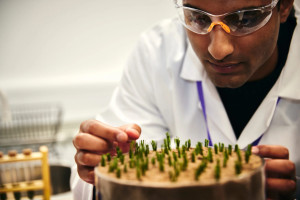 SIS Pitches dévoile des fibres biosourcées